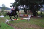 1.Sprung altes Pferd Jungreiter